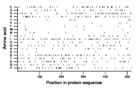 amino acid map