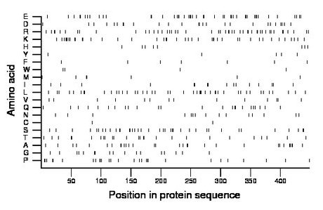 amino acid map