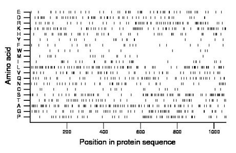 amino acid map