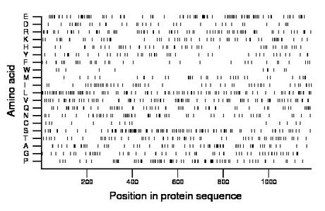 amino acid map