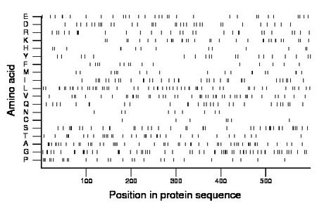 amino acid map