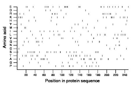 amino acid map