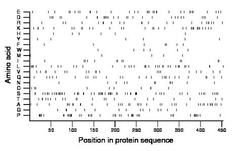 amino acid map