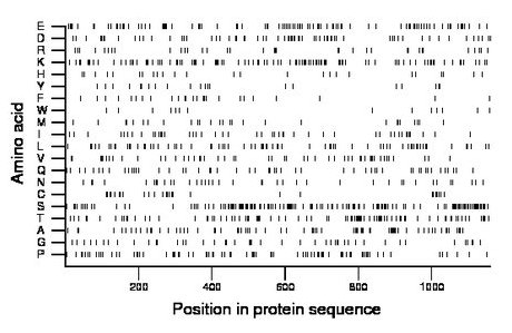 amino acid map