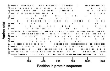 amino acid map