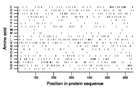 amino acid map