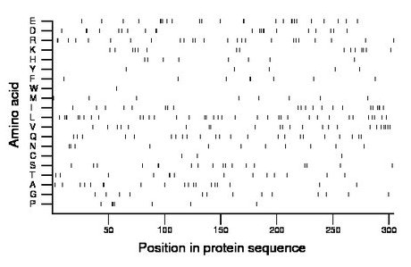 amino acid map