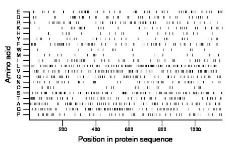 amino acid map