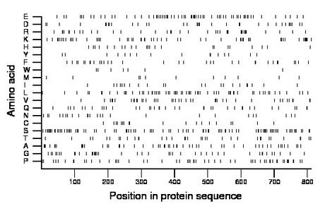 amino acid map