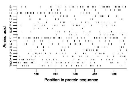 amino acid map