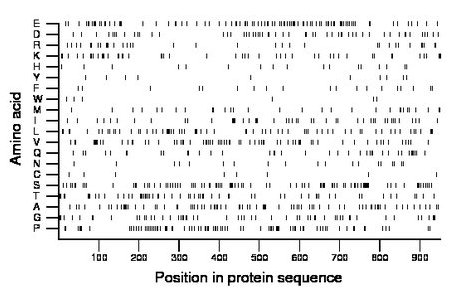 amino acid map