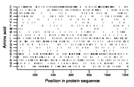 amino acid map