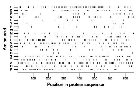 amino acid map