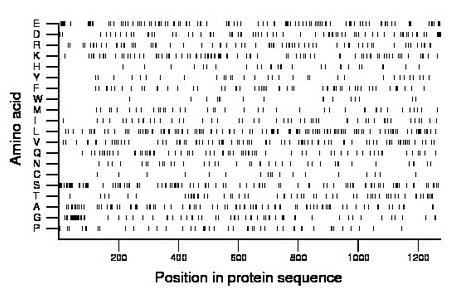 amino acid map