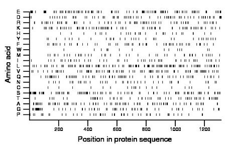 amino acid map