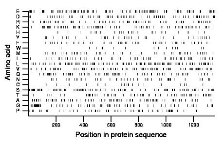 amino acid map