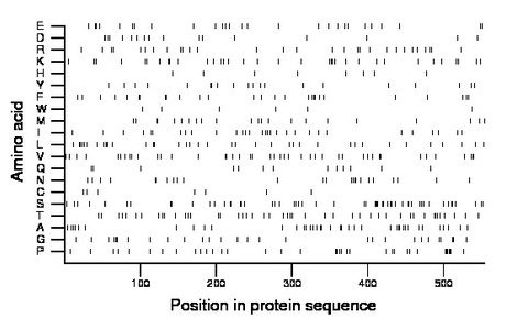 amino acid map