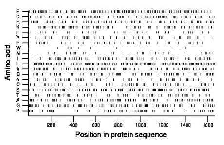 amino acid map