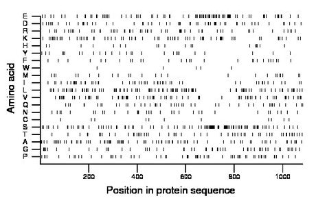 amino acid map