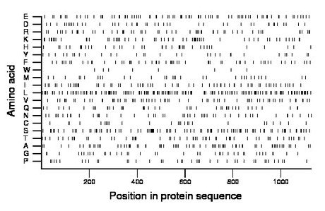 amino acid map