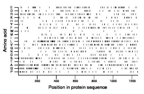 amino acid map