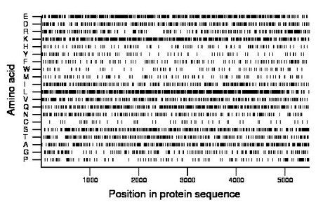 amino acid map