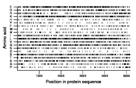 amino acid map