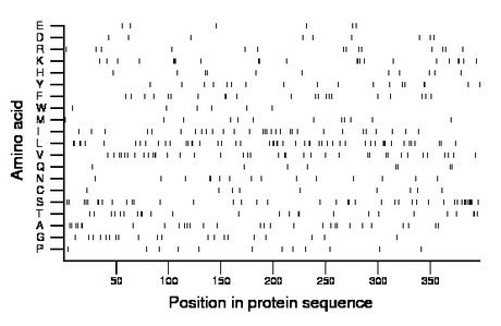 amino acid map