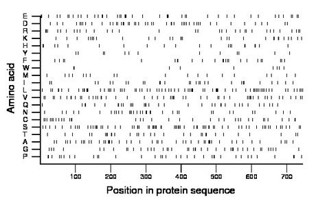 amino acid map