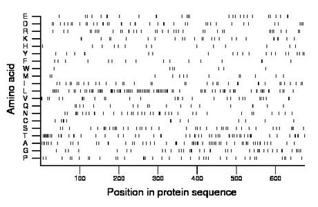 amino acid map