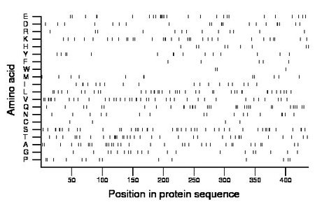 amino acid map