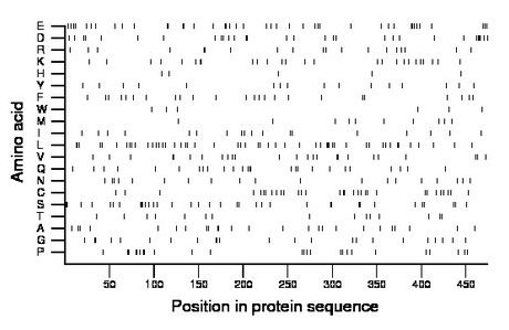 amino acid map