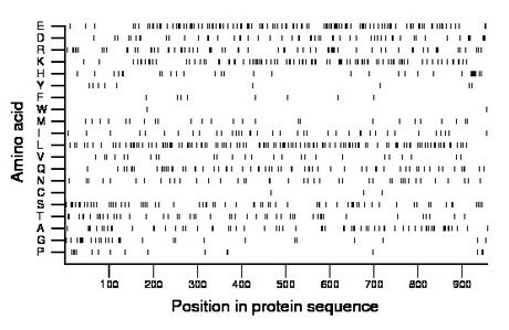 amino acid map