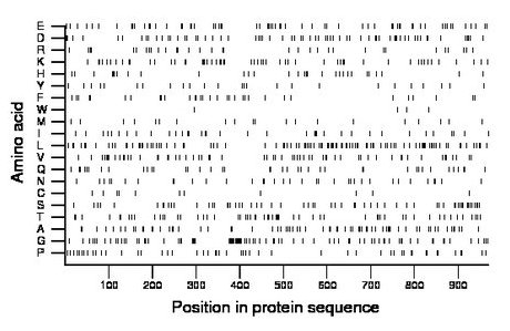 amino acid map