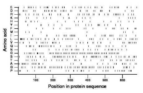 amino acid map