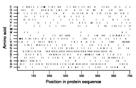 amino acid map