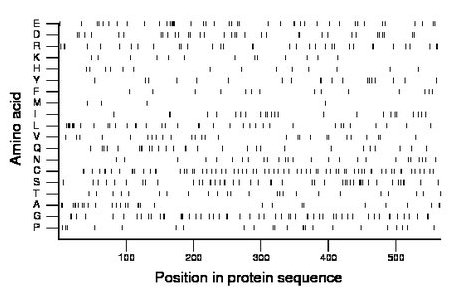 amino acid map