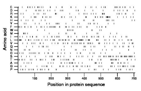 amino acid map