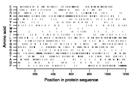 amino acid map