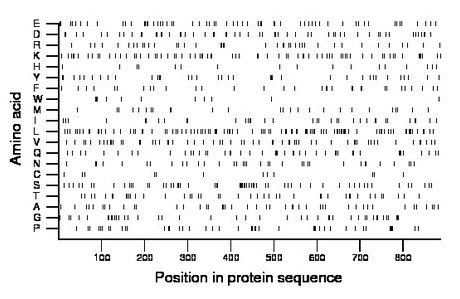 amino acid map