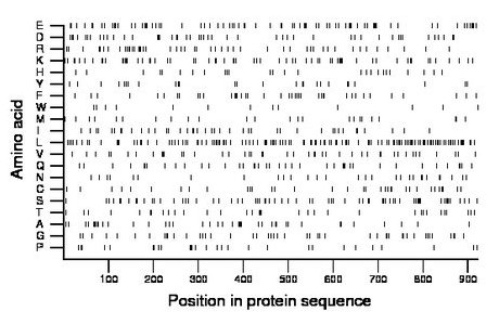 amino acid map