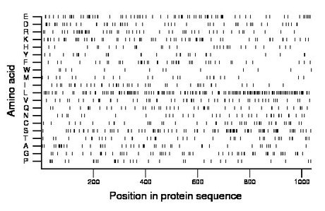 amino acid map