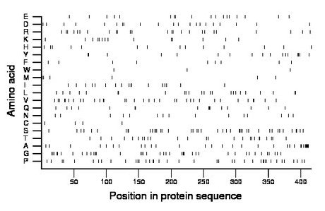 amino acid map