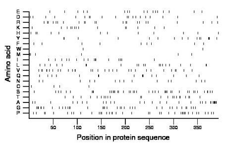 amino acid map