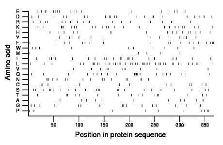 amino acid map