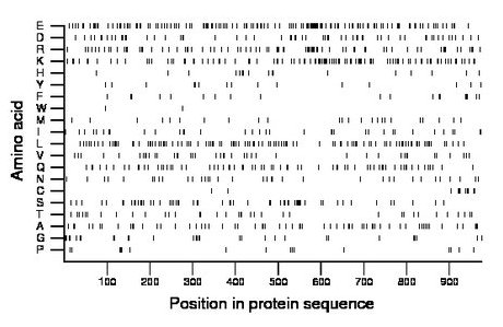 amino acid map