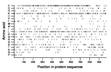 amino acid map