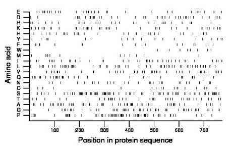 amino acid map