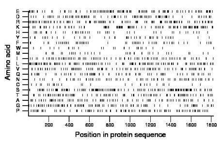 amino acid map