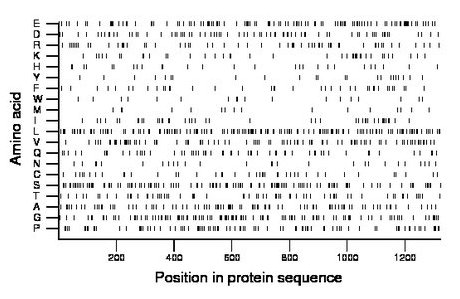 amino acid map